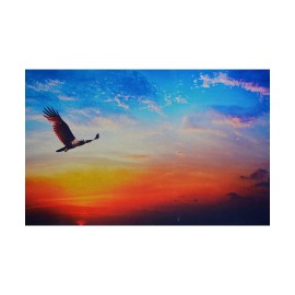 Cuadro Canvas Modelo Atardecer Águila