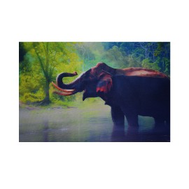 Cuadro Canvas Modelo Elefante Selva